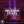 City Lights song image