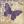 Mon Amour  song image