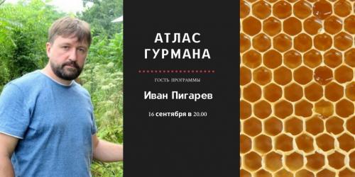«Атлас Гурмана» о пчелах и меде