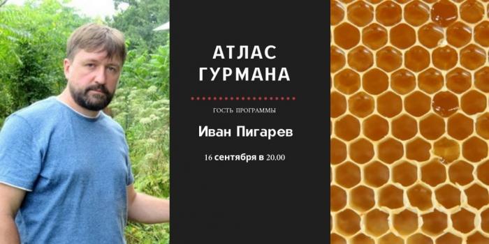 «Атлас Гурмана» о пчелах и меде
