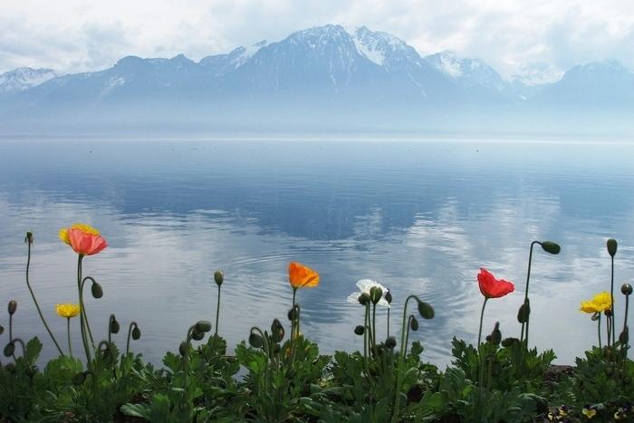 Регион Женевского озера – место, где вас ждет трансформация